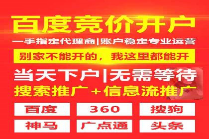 SEM推广案例：揭秘高ROI背后的策略与实践